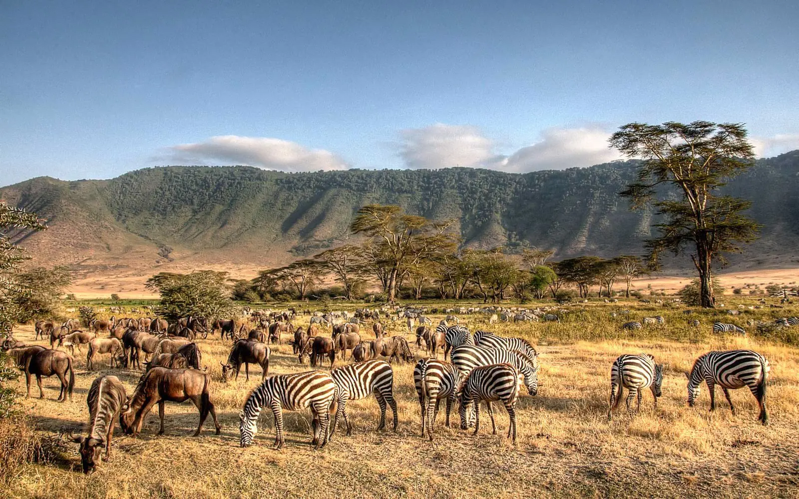 4 DAYS TARANGIRE, SERENGETI AND NGORONGORO CRATER SAFARI