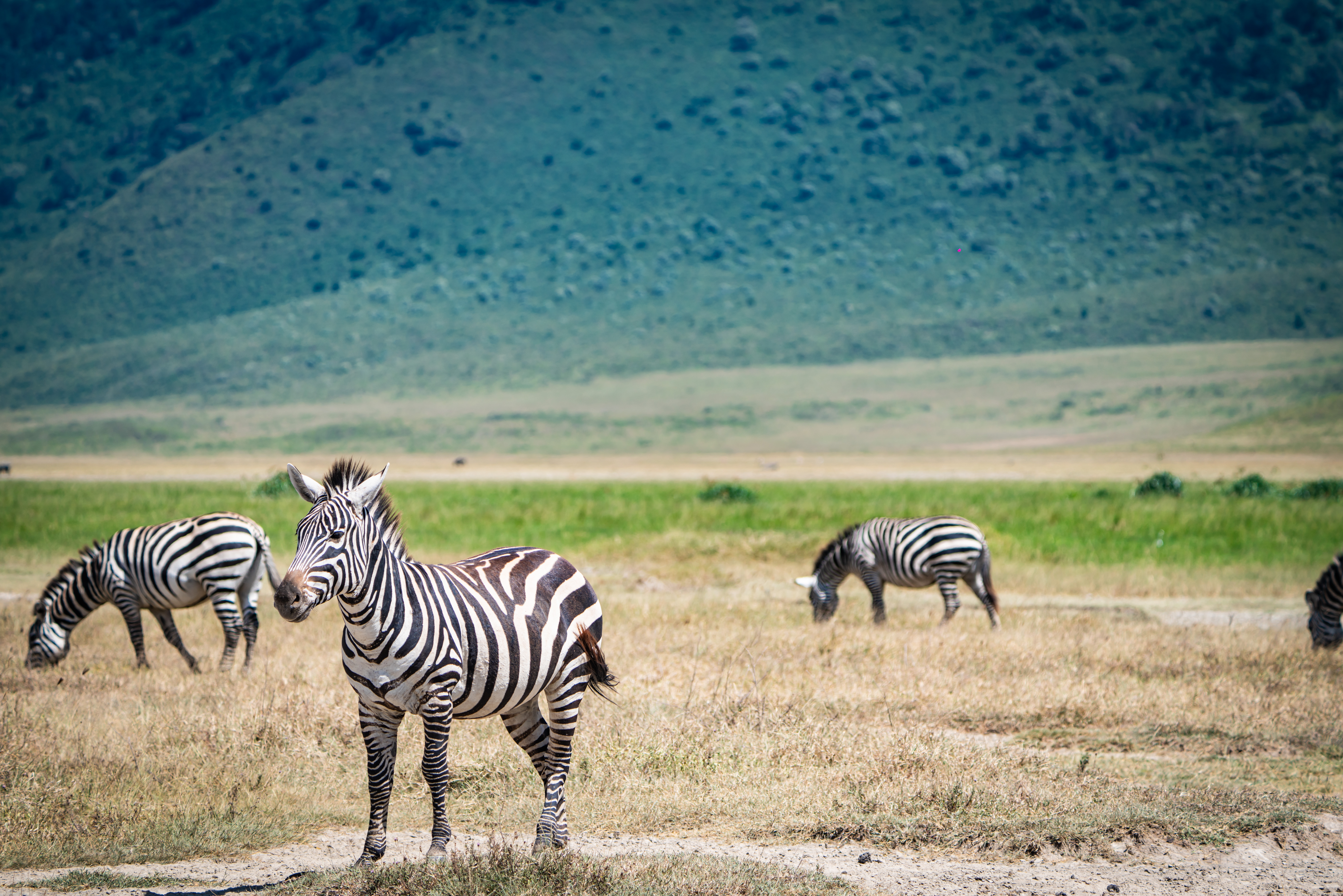 3 DAYS VILLAGE TOUR AND NGORONGORO CRATER SAFARI